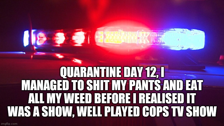 Police Lights | QUARANTINE DAY 12, I MANAGED TO SHIT MY PANTS AND EAT ALL MY WEED BEFORE I REALISED IT WAS A SHOW, WELL PLAYED COPS TV SHOW | image tagged in police lights | made w/ Imgflip meme maker