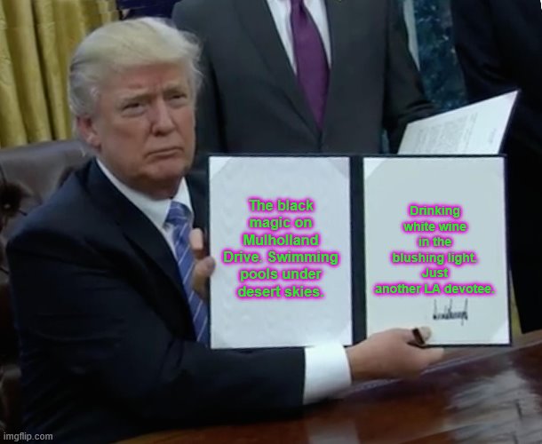 Trump Bill Signing Meme | The black magic on Mulholland Drive. Swimming pools under desert skies. Drinking white wine in the blushing light. Just another LA devotee. | image tagged in memes,trump bill signing | made w/ Imgflip meme maker