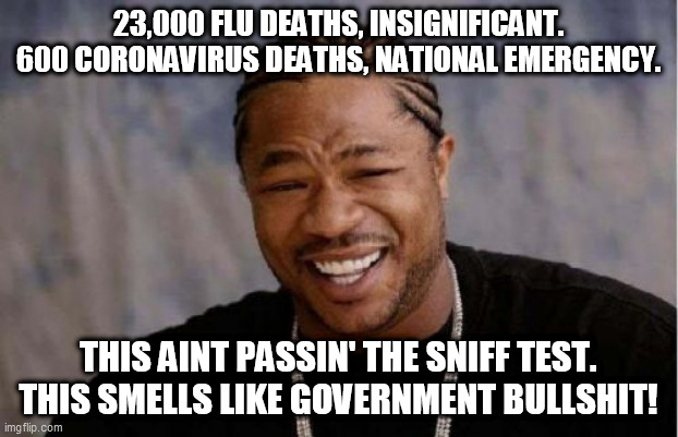 Yo Dawg Heard You | 23,000 FLU DEATHS, INSIGNIFICANT. 600 CORONAVIRUS DEATHS, NATIONAL EMERGENCY. THIS AINT PASSIN' THE SNIFF TEST. THIS SMELLS LIKE GOVERNMENT BULLSHIT! | image tagged in memes,yo dawg heard you | made w/ Imgflip meme maker