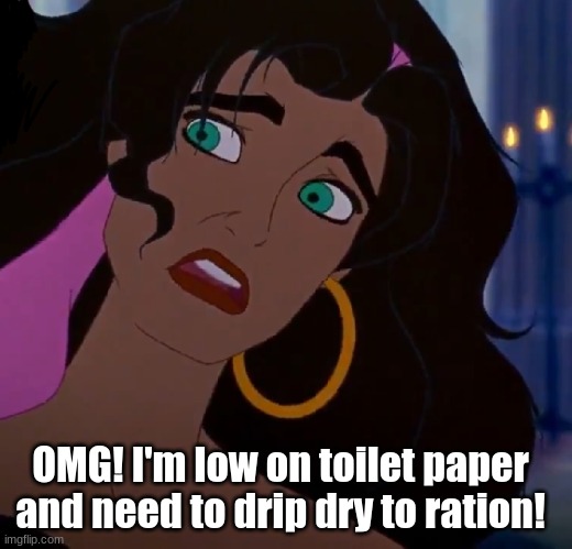 Drip Dry | OMG! I'm low on toilet paper and need to drip dry to ration! | image tagged in toilet paper,coronavirus,pandemic,hoarders,grossed out | made w/ Imgflip meme maker