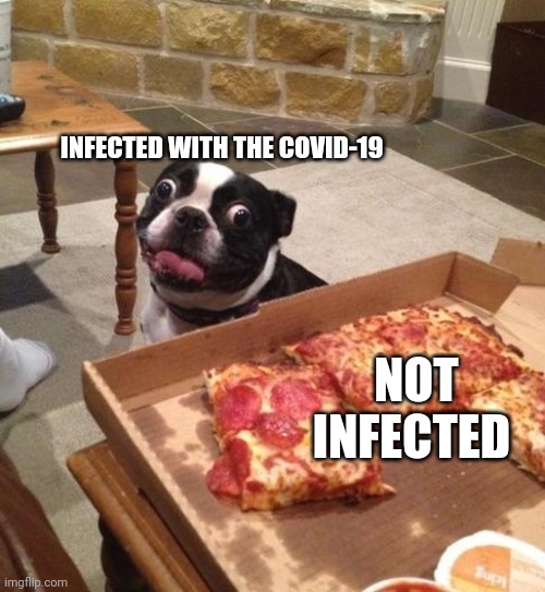 Hungry Pizza Dog | INFECTED WITH THE COVID-19; NOT INFECTED | image tagged in hungry pizza dog | made w/ Imgflip meme maker