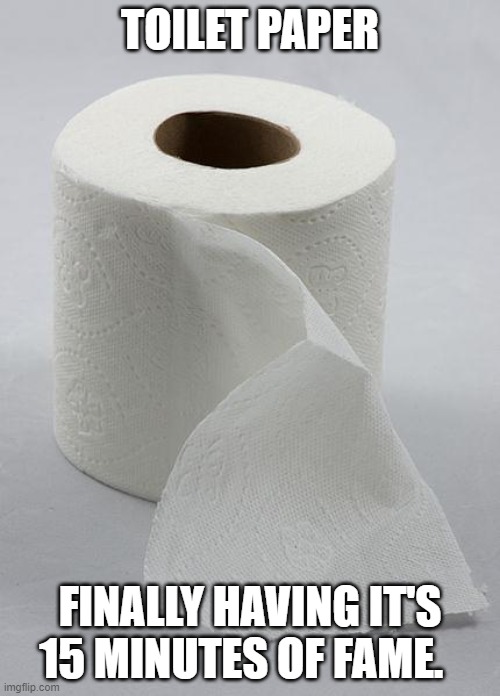 toilet paper | TOILET PAPER; FINALLY HAVING IT'S 15 MINUTES OF FAME. | image tagged in toilet paper | made w/ Imgflip meme maker