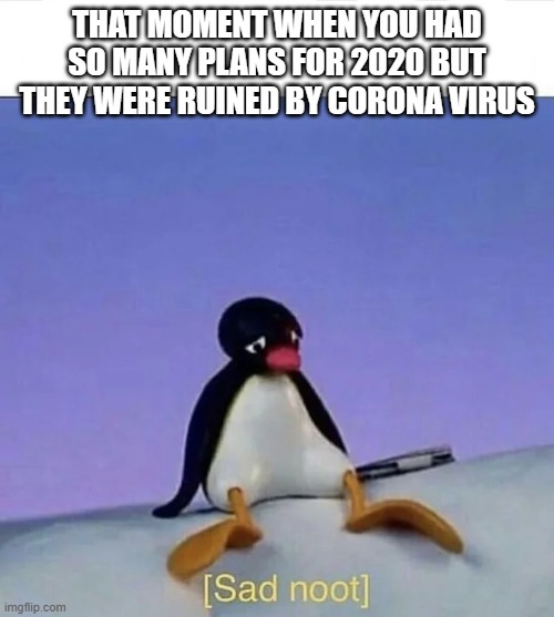 Sad noot | THAT MOMENT WHEN YOU HAD SO MANY PLANS FOR 2020 BUT THEY WERE RUINED BY CORONA VIRUS | image tagged in sad noot | made w/ Imgflip meme maker