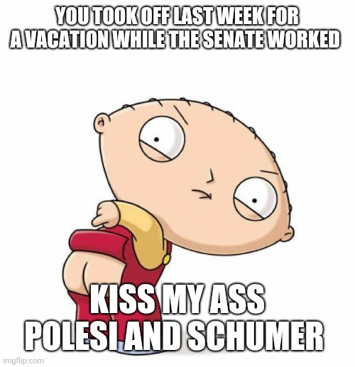 Kiss my ass | YOU TOOK OFF LAST WEEK FOR A VACATION WHILE THE SENATE WORKED; KISS MY ASS POLESI AND SCHUMER | image tagged in kiss my ass | made w/ Imgflip meme maker