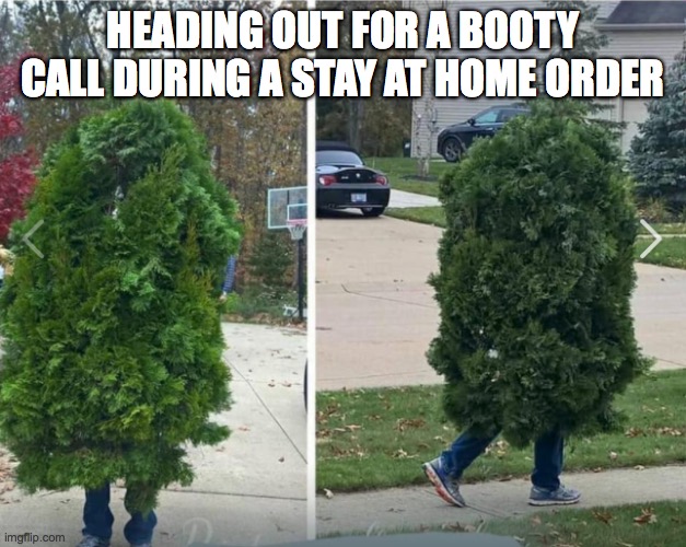 HEADING OUT FOR A BOOTY CALL DURING A STAY AT HOME ORDER | image tagged in booty call,shelter in place,coronavirus | made w/ Imgflip meme maker