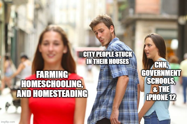 Distracted Boyfriend | CITY PEOPLE STUCK
IN THEIR HOUSES; CNN, GOVERNMENT
SCHOOLS, & THE iPHONE 12; FARMING
HOMESCHOOLING,
AND HOMESTEADING | image tagged in memes,distracted boyfriend | made w/ Imgflip meme maker