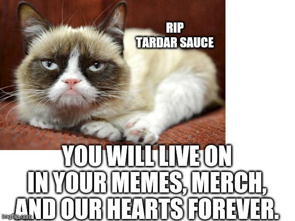 RIP TARDAR SAUCE; YOU WILL LIVE ON IN YOUR MEMES, MERCH, AND OUR HEARTS FOREVER. | image tagged in grumpy cat,cat,cats,funny cats | made w/ Imgflip meme maker