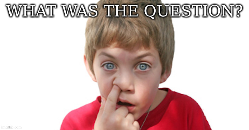 dumb kid | WHAT WAS THE QUESTION? | image tagged in dumb kid | made w/ Imgflip meme maker