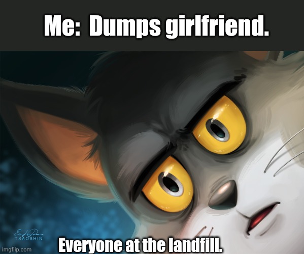 What's everybody staring at?! | Me:  Dumps girlfriend. Everyone at the landfill. | image tagged in unsettled tom stylized | made w/ Imgflip meme maker