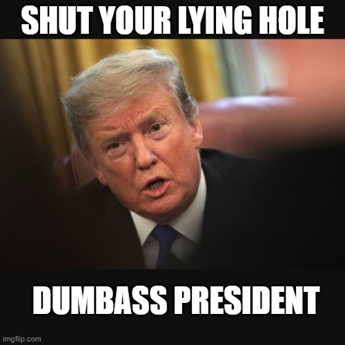 Impeached Trump | SHUT YOUR LYING HOLE; DUMBASS PRESIDENT | image tagged in impeached trump | made w/ Imgflip meme maker