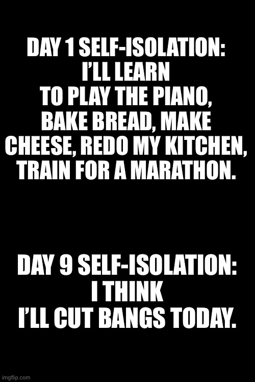 Blank | DAY 1 SELF-ISOLATION: I’LL LEARN TO PLAY THE PIANO, BAKE BREAD, MAKE CHEESE, REDO MY KITCHEN, TRAIN FOR A MARATHON. DAY 9 SELF-ISOLATION: I THINK I’LL CUT BANGS TODAY. | image tagged in blank | made w/ Imgflip meme maker