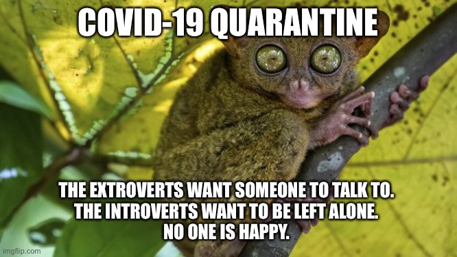 COVID-19 QUARANTINE; THE EXTROVERTS WANT SOMEONE TO TALK TO. 
THE INTROVERTS WANT TO BE LEFT ALONE. 
NO ONE IS HAPPY. | image tagged in covid-19 | made w/ Imgflip meme maker