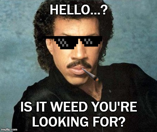 Lionel Richie Hello | HELLO...? IS IT WEED YOU'RE
LOOKING FOR? | image tagged in lionel richie hello | made w/ Imgflip meme maker
