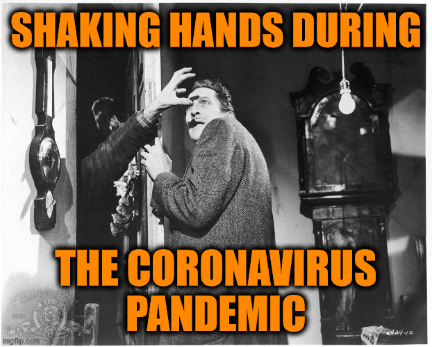 The Last Man on Earth | SHAKING HANDS DURING; THE CORONAVIRUS PANDEMIC | image tagged in coronavirus | made w/ Imgflip meme maker