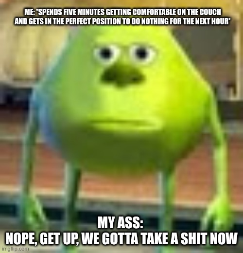 Sully Wazowski | ME: *SPENDS FIVE MINUTES GETTING COMFORTABLE ON THE COUCH AND GETS IN THE PERFECT POSITION TO DO NOTHING FOR THE NEXT HOUR*; MY ASS: 
NOPE, GET UP, WE GOTTA TAKE A SHIT NOW | image tagged in sully wazowski | made w/ Imgflip meme maker