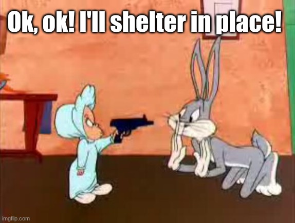 Shelter in Place | Ok, ok! I'll shelter in place! | image tagged in shelter,social distancing,stay home,pandemic,coronavirus,bugs bunny | made w/ Imgflip meme maker