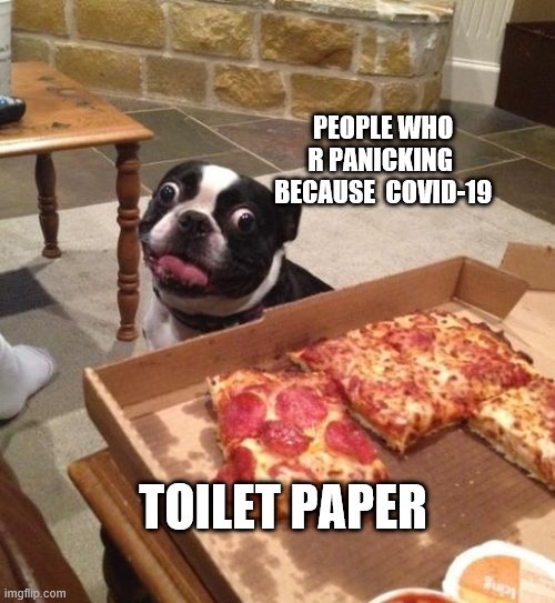 Hungry Pizza Dog | PEOPLE WHO R PANICKING  BECAUSE  COVID-19; TOILET PAPER | image tagged in hungry pizza dog | made w/ Imgflip meme maker