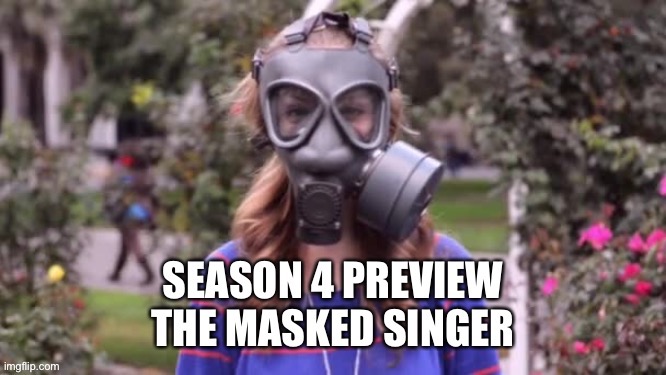 Masked singer | image tagged in masked singer | made w/ Imgflip meme maker