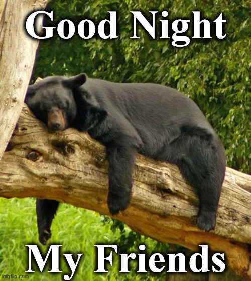 nicht | Good Night; My Friends | image tagged in nicht | made w/ Imgflip meme maker