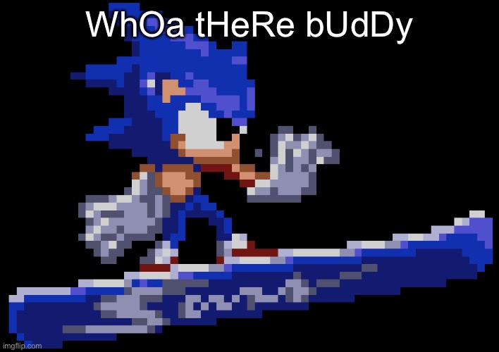 slow down there buddy sonic high quality | WhOa tHeRe bUdDy | image tagged in slow down there buddy sonic high quality | made w/ Imgflip meme maker