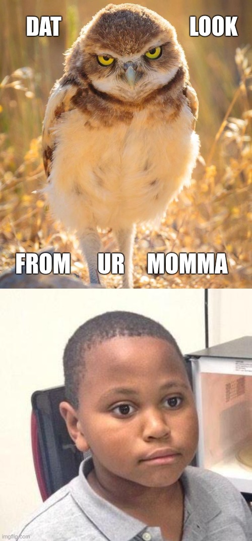 DAT LOOK ... | DAT                              LOOK; FROM      UR     MOMMA | image tagged in minor mistake marvin,the bird,uh-oh,rick75230,what did you do | made w/ Imgflip meme maker