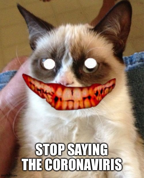 Grumpy Cat Meme | STOP SAYING THE CORONAVIRIS | image tagged in memes,grumpy cat | made w/ Imgflip meme maker