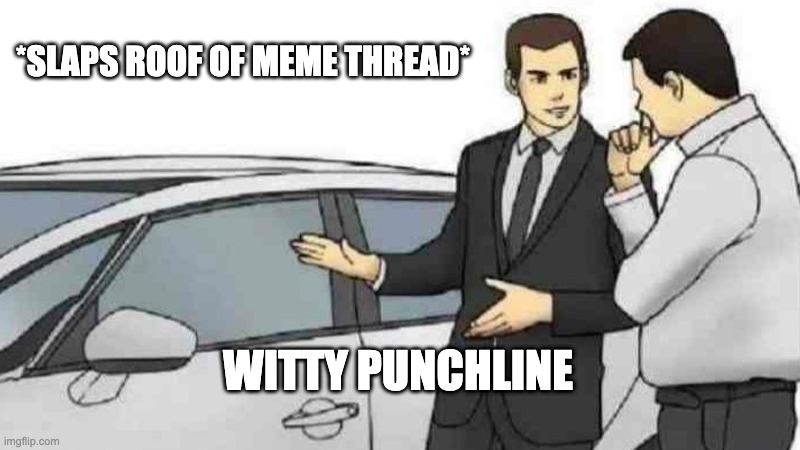 Car Salesman Slaps Roof Of Car Meme | *SLAPS ROOF OF MEME THREAD*; WITTY PUNCHLINE | image tagged in memes,car salesman slaps roof of car | made w/ Imgflip meme maker