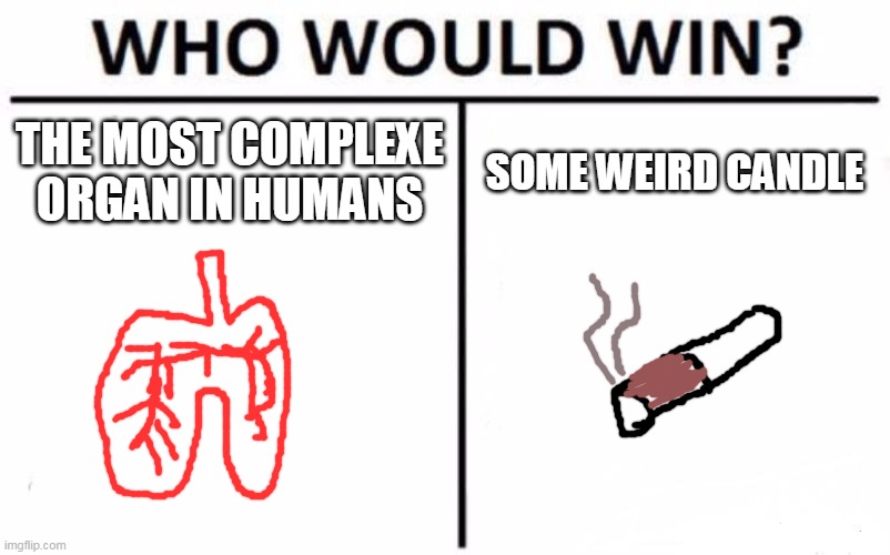 Who Would Win? Meme | THE MOST COMPLEXE ORGAN IN HUMANS; SOME WEIRD CANDLE | image tagged in memes,who would win | made w/ Imgflip meme maker