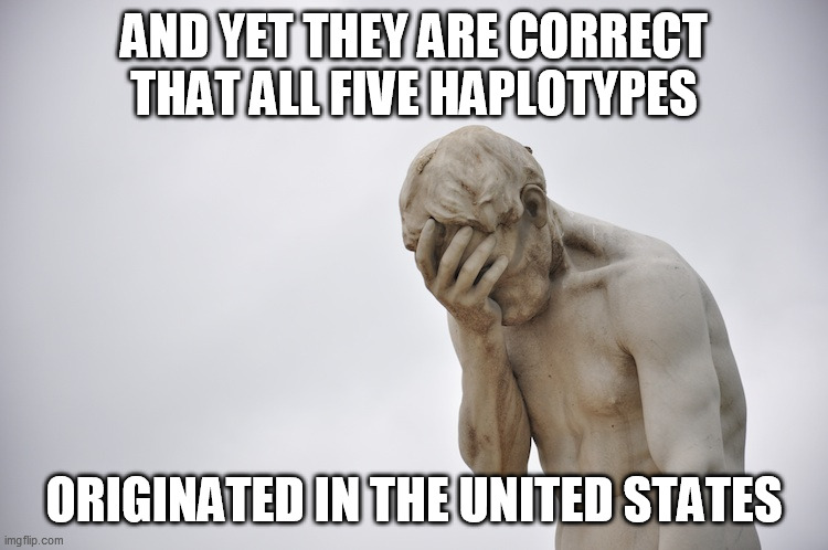 humiliated statue | AND YET THEY ARE CORRECT THAT ALL FIVE HAPLOTYPES ORIGINATED IN THE UNITED STATES | image tagged in humiliated statue | made w/ Imgflip meme maker