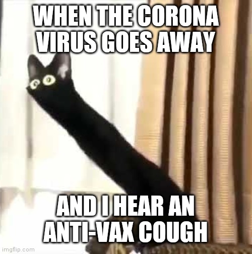 Long Neck Cat | WHEN THE CORONA VIRUS GOES AWAY; AND I HEAR AN ANTI-VAX COUGH | image tagged in long neck cat | made w/ Imgflip meme maker