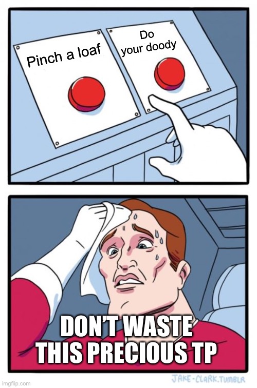 Two Buttons Meme | Do your doody; Pinch a loaf; DON’T WASTE THIS PRECIOUS TP | image tagged in memes,two buttons | made w/ Imgflip meme maker