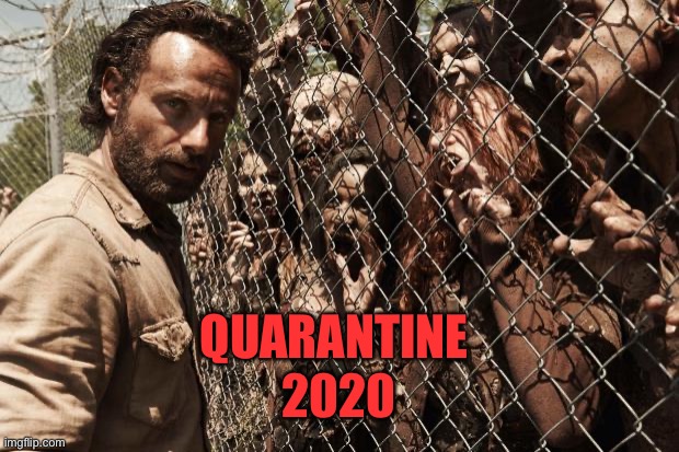 zombies | QUARANTINE; 2020 | image tagged in zombies | made w/ Imgflip meme maker