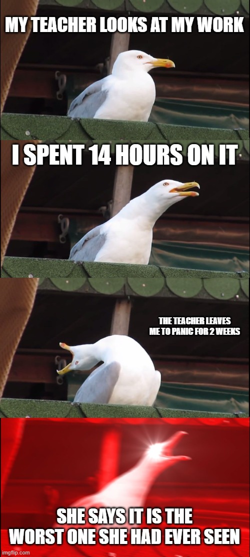 Inhaling Seagull Meme | MY TEACHER LOOKS AT MY WORK; I SPENT 14 HOURS ON IT; THE TEACHER LEAVES ME TO PANIC FOR 2 WEEKS; SHE SAYS IT IS THE WORST ONE SHE HAD EVER SEEN | image tagged in memes,inhaling seagull | made w/ Imgflip meme maker