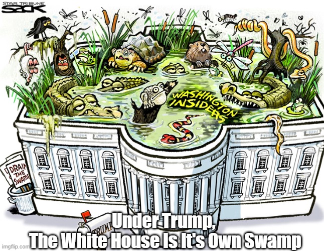 Under Trump, 
The White House Is It's Own Swamp | made w/ Imgflip meme maker