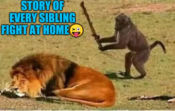 Monkey lion | STORY OF EVERY SIBLING FIGHT AT HOME😜 | image tagged in monkey lion | made w/ Imgflip meme maker