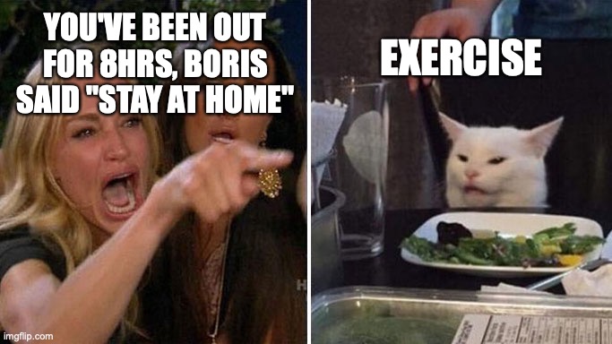 Angry lady cat | YOU'VE BEEN OUT FOR 8HRS, BORIS SAID "STAY AT HOME"; EXERCISE | image tagged in angry lady cat | made w/ Imgflip meme maker