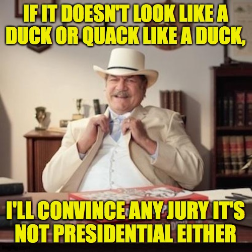 Small Town Pizza Lawyer | IF IT DOESN'T LOOK LIKE A
DUCK OR QUACK LIKE A DUCK, I'LL CONVINCE ANY JURY IT'S
NOT PRESIDENTIAL EITHER | image tagged in small town pizza lawyer | made w/ Imgflip meme maker