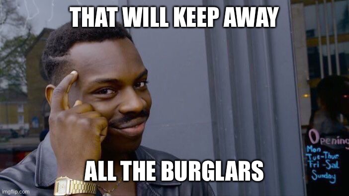 Roll Safe Think About It Meme | THAT WILL KEEP AWAY ALL THE BURGLARS | image tagged in memes,roll safe think about it | made w/ Imgflip meme maker