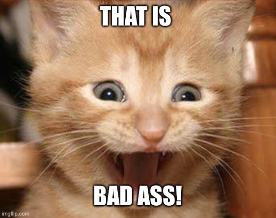 Excited Cat Meme | THAT IS BAD ASS! | image tagged in memes,excited cat | made w/ Imgflip meme maker
