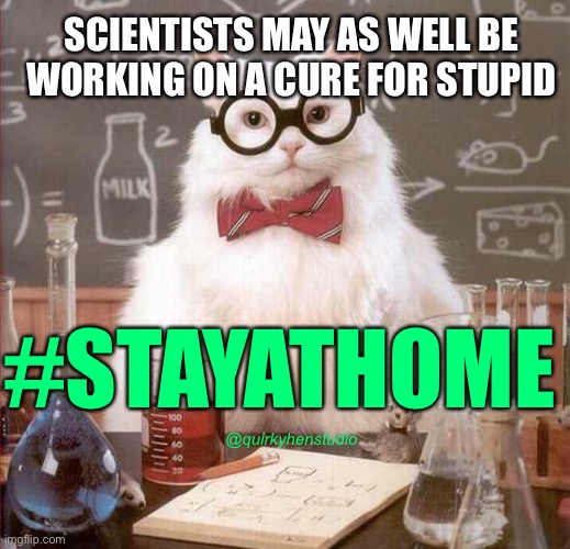 cat scientist | SCIENTISTS MAY AS WELL BE WORKING ON A CURE FOR STUPID; #STAYATHOME; @quirkyhenstudio | image tagged in cat scientist | made w/ Imgflip meme maker