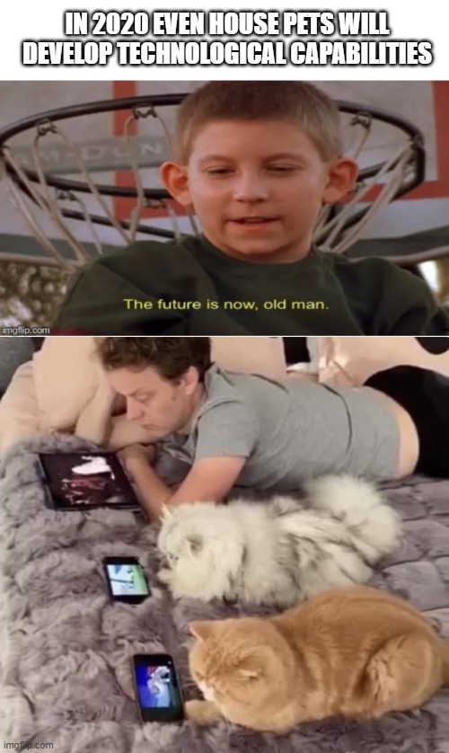 The future is now | IN 2020 EVEN HOUSE PETS WILL DEVELOP TECHNOLOGICAL CAPABILITIES | image tagged in the future is now old man,2020,quarantine,coronavirus,technology,cats | made w/ Imgflip meme maker