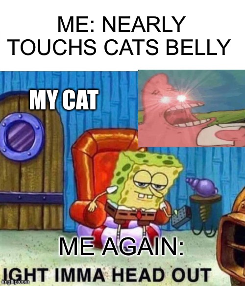 Spongebob Ight Imma Head Out | ME: NEARLY TOUCHS CATS BELLY; MY CAT; ME AGAIN: | image tagged in memes,spongebob ight imma head out | made w/ Imgflip meme maker