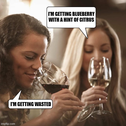 wine wasting |  I'M GETTING BLUEBERRY WITH A HINT OF CITRUS; I'M GETTING WASTED | image tagged in drinking wine,girls | made w/ Imgflip meme maker