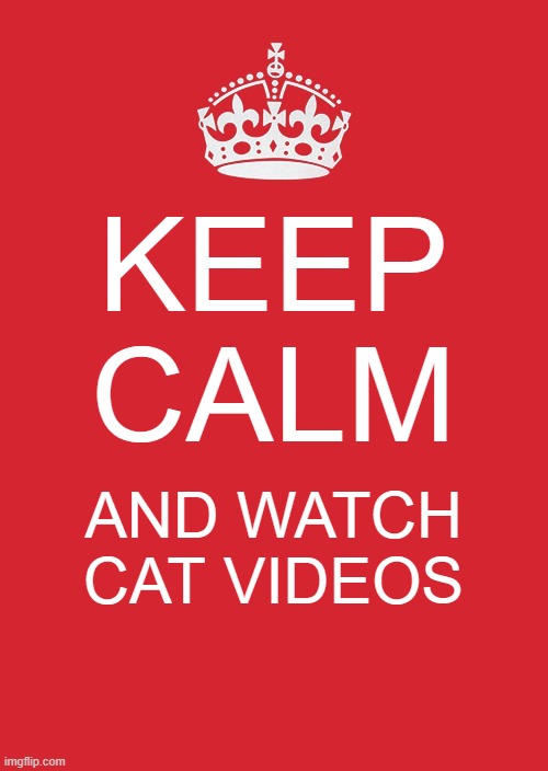 Keep Calm And Carry On Red | KEEP CALM; AND WATCH CAT VIDEOS | image tagged in memes,keep calm and carry on red | made w/ Imgflip meme maker