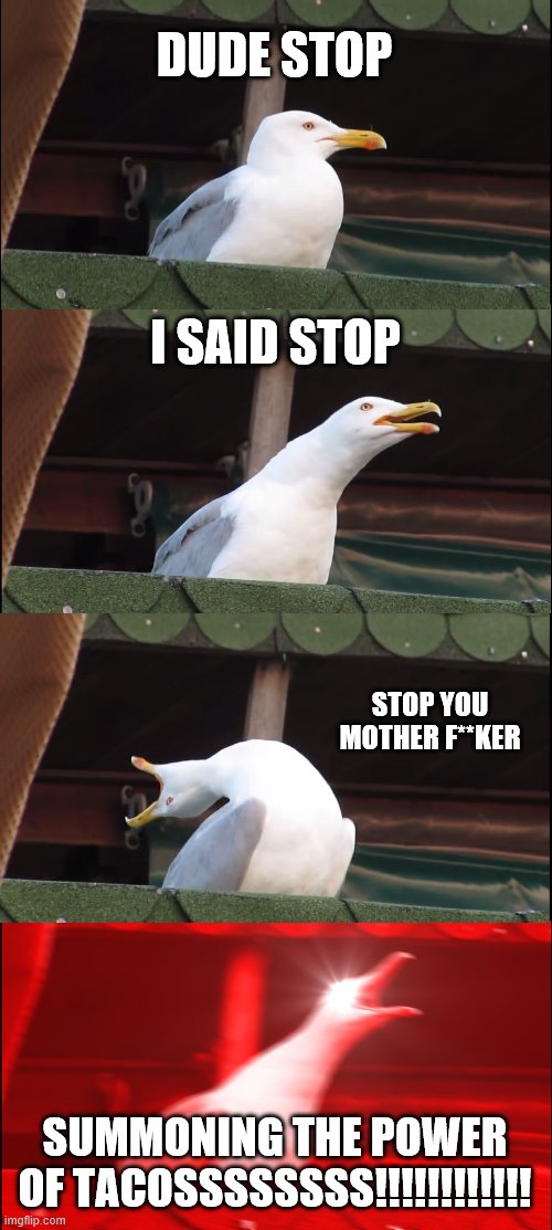 Inhaling Seagull Meme | DUDE STOP; I SAID STOP; STOP YOU MOTHER F**KER; SUMMONING THE POWER OF TACOSSSSSSSS!!!!!!!!!!!! | image tagged in memes,inhaling seagull | made w/ Imgflip meme maker