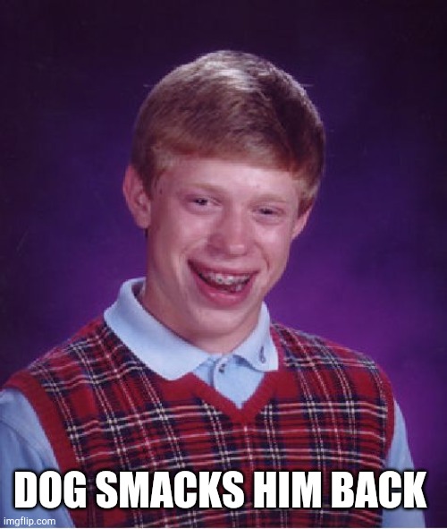 Bad Luck Brian Meme | DOG SMACKS HIM BACK | image tagged in memes,bad luck brian | made w/ Imgflip meme maker