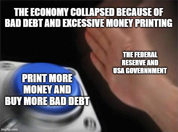 Sounds reasonable... | THE ECONOMY COLLAPSED BECAUSE OF BAD DEBT AND EXCESSIVE MONEY PRINTING; THE FEDERAL RESERVE AND USA GOVERNNMENT; PRINT MORE MONEY AND BUY MORE BAD DEBT | image tagged in memes,blank nut button,economics,2020,stock market,federal reserve | made w/ Imgflip meme maker