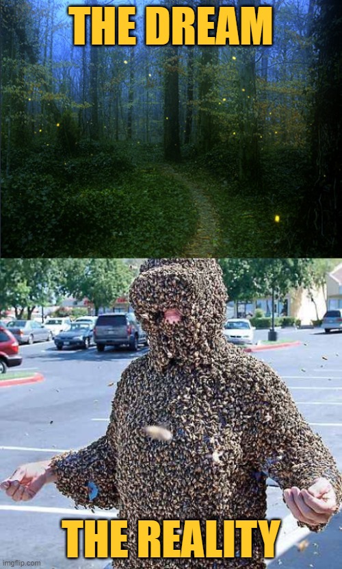 Nature Reality Check | THE DREAM; THE REALITY | image tagged in fireflies,bugs,reality check,lol,funny memes,nature | made w/ Imgflip meme maker