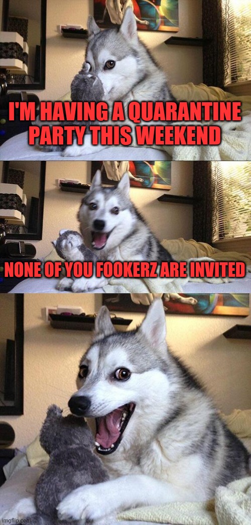 Bad Pun Dog | I'M HAVING A QUARANTINE PARTY THIS WEEKEND; NONE OF YOU FOOKERZ ARE INVITED | image tagged in memes,bad pun dog | made w/ Imgflip meme maker