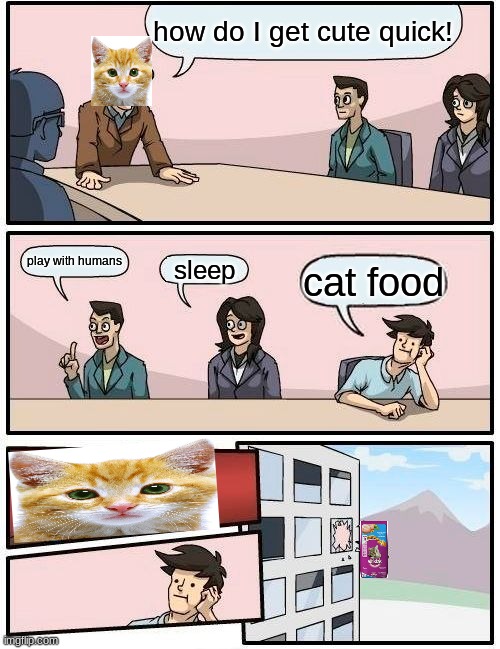 Boardroom Meeting Suggestion | how do I get cute quick! play with humans; sleep; cat food | image tagged in memes,boardroom meeting suggestion | made w/ Imgflip meme maker